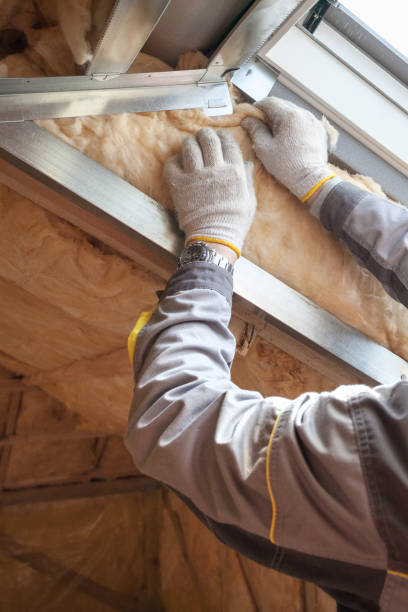 Types of Insulation We Offer in Whitewright, TX