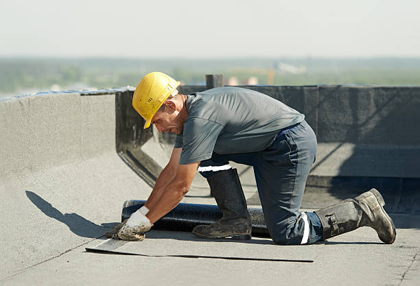 Best Insulation Maintenance and Repair in Whitewright, TX
